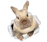 Toyvian 3D Bunny Wall Sticker Removable Self-Adhesive PVC Decorative Sticker Creative Realistic Cartoon Design for Indoor Room Wall Adorn on Tv Backgrounds and Refrigerators
