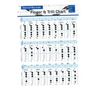 Toyvian 3pcs Flute Chord Chart Recorder Practice Finger Chart Flute Supplies Chord Poster for Students Learning Guide Musicians