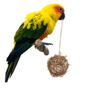 Toyvian 3pcs Outdoor Bird Nesting Material Kit Hummingbird Nest Houses Nesting Balls Bird Watching Garden