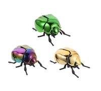 Toyvian 3pcs Simulated Beetle Insect Model Wind Up for Educational Biology Learning Halloween April Fools Day Decorations Realistic Interactive Figures