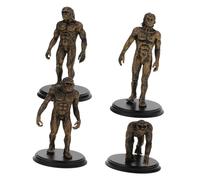 Toyvian 4pcs Human Evolution Models Realistic Figures for Teaching Table Decor Educational Props for Understanding Human and Evolution History Safe Reusable
