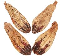 Toyvian 4pcs Natural Parrot Chewing Toy for Budgies Interactive Bird Foraging Accessories Shredding Toys to Improve Mental Health Prevent Biting