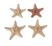Toyvian 4pcs Resin Sea Star Decoration for DIY Beach Decor Home and Wedding Use Creative and Lifelike Design Can Be Placed on Ground or Stuck on Wall Summer