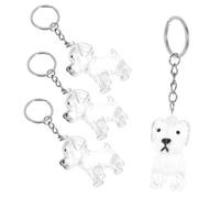 Toyvian 4Pcs Transparent Dog Hair Keepsake Box Keychain Portable Memorial Capsule for Pet Owners Clear Fur Storage Container Compact Remembrance