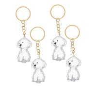 Toyvian 4pcs Transparent Dog Hair Keepsake Keychain with Airtight Seal Compact Memorial Pendant for Pet Owners Visible Capsule for Preserving Dog Hair Memory