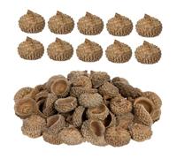 Toyvian 50 Pcs Natural Acorn Caps for Autumn Crafting and Christmas Decorations Hanging Acorns for Wedding Floral Arrangements DIY Dried Flower Art and Home Decor Accessories
