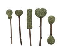 Toyvian 5Pcs Catnip Lollipops Natural Edible Cat Treats for Digestion Teething Interactive Snacks to Clean Teeth Various Styles to Engage Cats