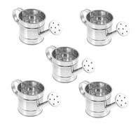Toyvian 5pcs Mini Iron Watering Cans Handheld Flower Pots for Home Decoration Miniature Garden Accessory for Play and Photo Props