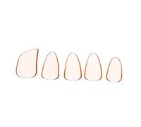 Toyvian 5pcs Orange PC Pipa Finger Picks Lightweight and Easy to Clean Fingertip Protective Covers for Playing Lute and Guzheng Musical Instrument Accessories