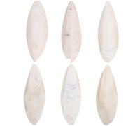 Toyvian 6 Pcs Natural Cuttlefish Bone Bird Chewing for Birds and Cockatiels Healthy Beak Development and Providing Calcium Supplement