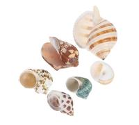 Toyvian 6pcs Natural Seashells for Aquarium Decor Tiny Conch Shells for Fish Tank Landscaping Habitat for Small Crabs Versatile Underwater Scenery Craft
