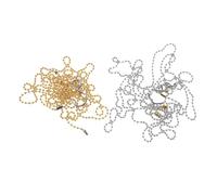 Toyvian 6pcs Volleyball Net Height Measuring Chain Tool Official Volleyball Net Setter for Referee Equipment Precision Silver and Gold Chain for Accurate Court Setup and Training