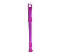 Toyvian 8 Hole Soprano Descant Recorder Flute Music Instrument Made of Abs, Easy to Play and Practice Hand Flexibility, for Music Playing and Practice Sessions Random Color
