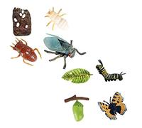 Toyvian 8pcs Growth Cycle Toys Growth Cycle Life Models Educational Plaything Cicada Toy Simulation Toy Educational Toy Life Cycle Demonstration Prop Life Cycle Display Model Plastic