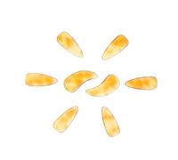Toyvian 8pcs Guzheng Nail Covers, Tortoiseshell Molecule Finger Picks, Wear-resistant Fingertip Protection for Practice and Performance, Easy to Use, Loud Sound