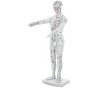 Toyvian Acupoint Training Model Plastic Human Body Acupuncture Meridian Model with Precise Acupoint Markings for Classroom Teaching and Self-Study