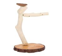 Toyvian Bird Playstand Desktop Bird Perch Climbing Chewing Wooden Tabletop Wood Shelf for Birdcage Decoration Suitable for Cockatiel