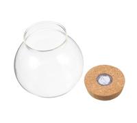 Toyvian Clear Glass Hydroponic Plant Propagation Station with Cork Lid and LED Light Compact Desktop Terrarium Vase for Indoor Outdoor Tabletop Gardening and Decorative Greenery