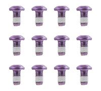 Toyvian Colorful Bike Disc Rotor Bolts Resistant Screws for Mountain Road Bikes Durable Stylish and Compatible with Brake Discs