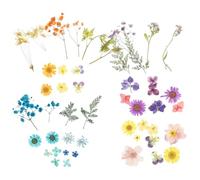 Toyvian Decorative Dried Flowers DIY Materials Pack Good Decorative Ability and Retaining Scent and Colour for Candle Decor and Soap Ornament Crafts
