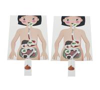 Toyvian DIY Human Digestive System Model Kit for Kids 2 Sets of Educational Craft Toys Safe Science Experiment for Boys and Girls Hands-On Learning Materials