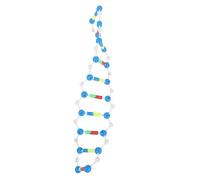 Toyvian DNA Double Helix Model Kit for Students Self-Assembling Educational Biology Teaching Aid Science Classroom Teaching Instrument