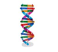 Toyvian DNA Models Double Helix Model Science Educational Teaching Instrument Toy for Kids