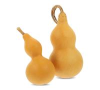 Toyvian Dried Wu Lou Gourds, 2pcs Natural Decor