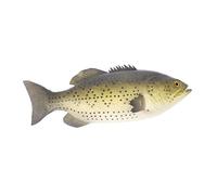 Toyvian Fish Bowl Simulation Fish Model Water Activated for Desktop Decoration for Boys and Girls