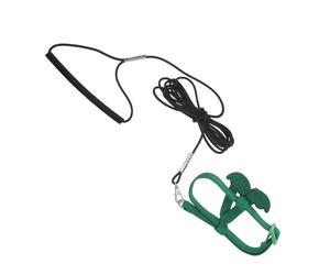Toyvian Flight Training Harness Polyester Material Adjustable with Winged Design for Outdoor Safety and Escape Prevention Light Green Parrot Suitable for Bird Adventures and Travel