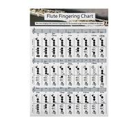 Toyvian Flute Instrument Chord Poster Flute Note Chart Fingering Chart for Beginners