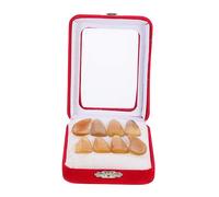 Toyvian Guzheng Thickened Fake Nails Finger Picks Medium Size Buffalo Horn Material Protective Guzheng Practice Tools Suitable for Players Random Color