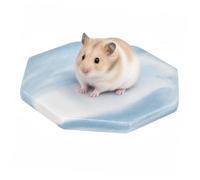 Toyvian Hamster Cooling Board Octagonal Ceramic PET Bed for Small Pets | Washable, Chew-resistant Surface, Smooth Finish, Design, Home Sleeping Area Use, Rats Random Color