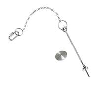 Toyvian Hanging Chicken Fruit Skewer Feeder with Chain Stainless Steel Food Holder for Poultry Easy to Use Vegetable Treat Dispenser for Chickens and Birds Durable and Resistant