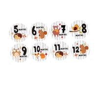 Toyvian Infant Stickers Monthly Newborn Stickers Photo Prop Decals for Baby's First Year Growth