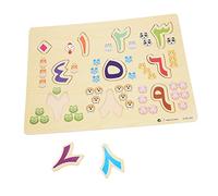 Toyvian Interactive Boys and Girls Arabic Learning Toy for Arabic Speaking Boy Girl Early Education Games