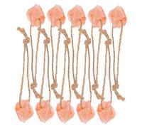 Toyvian Natural Mineral Salt Lick Blocks Orange Pre-drilled Salt Bricks 10pcs with Rope Versatile Multi-species Feeding for Livestock and Goats for Convenient Outdoor Farm Use
