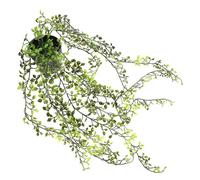 Toyvian Outdoor Simulation Plant Wall Hanging Rattan Pendant Artificial Leaf Decoration for Home Garden Wall-mounted Greenery Decor with Vivid Colors and Plastic Material