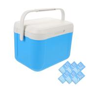 Toyvian Portable Insulated Cooler Box with Ice Packs Outdoor Camping and Fishing Cooler for Picnic Bbq and Travel Advanced Ice Retention Compact Design Easy to Clean Fits Vehicles