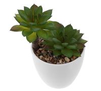 Toyvian Realistic Fake Succulent Plant in Pot Small Artificial Succulent Planter for Home Office Decor Bonsai Ornament for Shelf Desktop Decoration