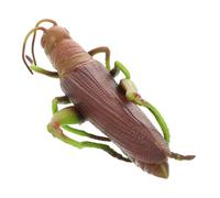 Toyvian Realistic Grasshopper Simulation for Soft Rubber Educational Insect Model for Learning and Home Decor Squeezable Animal Figure Enhancing Creativity and Play