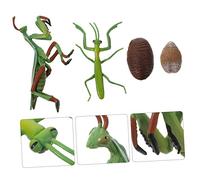 Toyvian Realistic Mantis Life Cycle for Early Education Interactive Insect Growth Cycle Figurine for Nature Cognition and Storytelling Detailed Educational Prop
