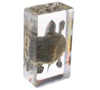 Toyvian Resin Tortoise Model Figure, Educational Scientific Turtle Specimen, Minimalist Home Decor Small Turtle Statue for Garden and Indoor Display