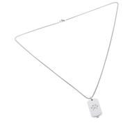 Toyvian Silver Pet Urn Pendant Necklace with Openable Titanium Steel Ashes Holder Memorial Jewelry for Cremation Ashes Includes Square Pearl Chain Funnel Screwdriver Keepsake for Loved