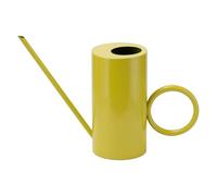 Toyvian Stainless Steel Plant Watering Can 1500ml 51oz with Long Spout for Precise Watering Control, Versatile Use for Indoor and Outdoor Plants Including Succulents, Stylish Design