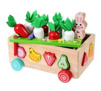 Toyvian Wooden Educational for Farm Orchard Carrot Harvest Game Premium Shape Sorting for Learning Safe Design