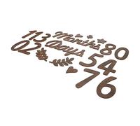 Toyvian Wooden Monthly Milestone Sign Milestone Numbers Cards for Photo Baby Shower Newborn Birthday Decor
