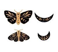 Toyvian Wooden Wall Art Moon Phase Plaque Creative Moon Shape Wall Decoration with Fine Workmanship Black Hanging Ornament for Home Living Room Decor