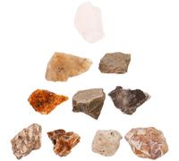 TOYZFRIENDY 10pcs Natural Mineral Rock Specimen with Visible Texture for Geology Classroom Teaching and Student Learning Educational Display Samples for Science and Geography Enthusiasts