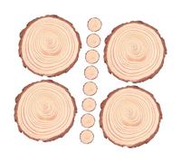 TOYZFRIENDY 12pcs Natural Round Wood Slices with Bark DIY Craft Boards for Handmade Decorations Lightweight Blank Wood Discs for Painting Hanging Ornaments and Creative Projects